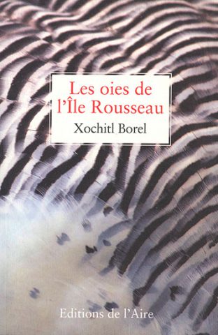 Les oies de l&rsquo;Ile Rousseau