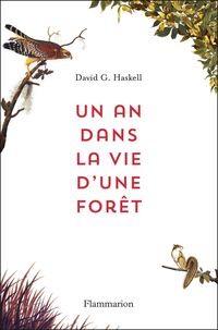 Un an dans la vie d’une forêt